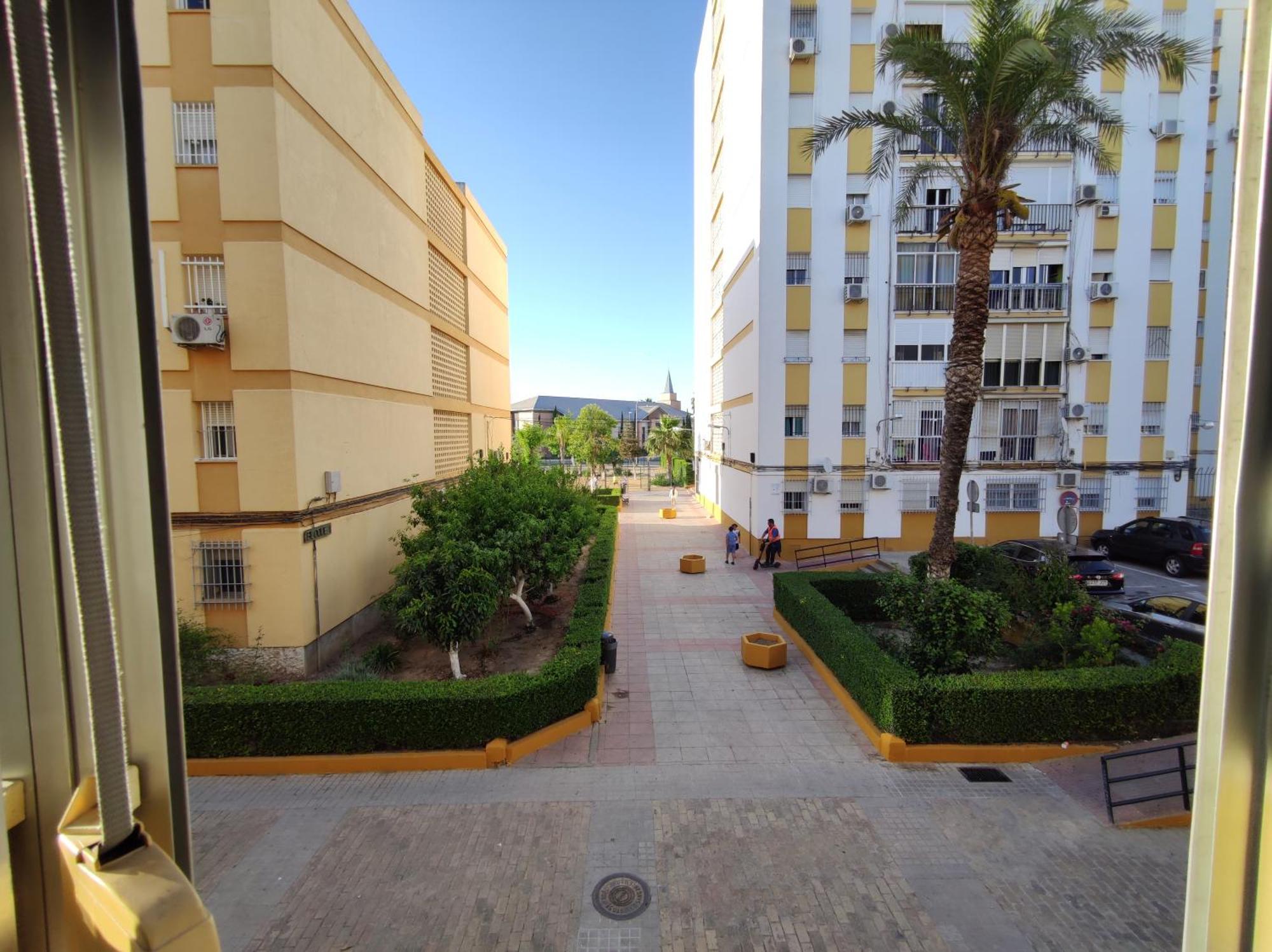 Apartamento Celia Sevilla Exterior foto