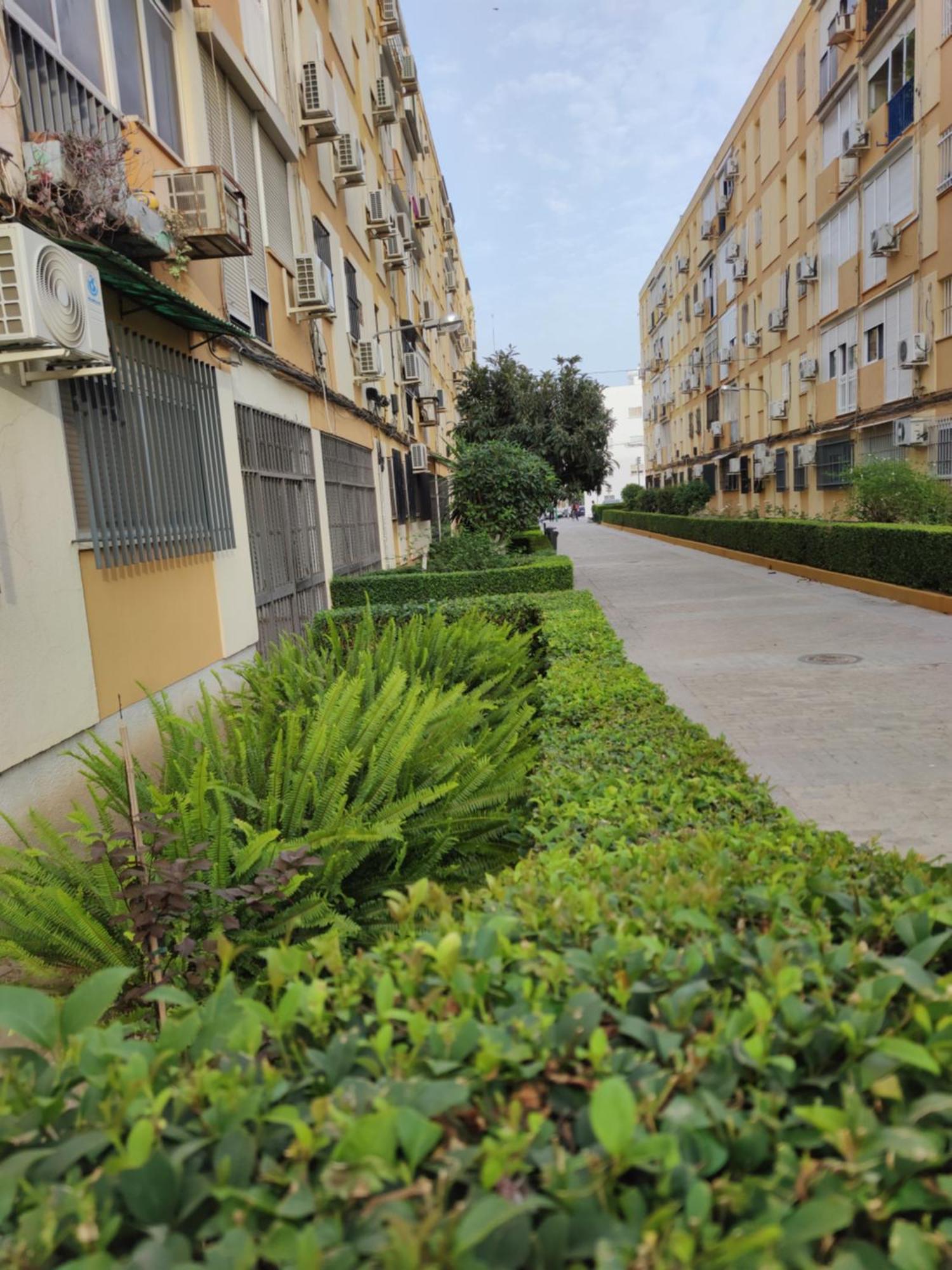 Apartamento Celia Sevilla Exterior foto